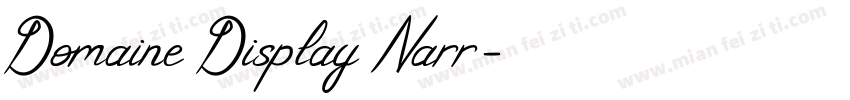 Domaine Display Narr字体转换